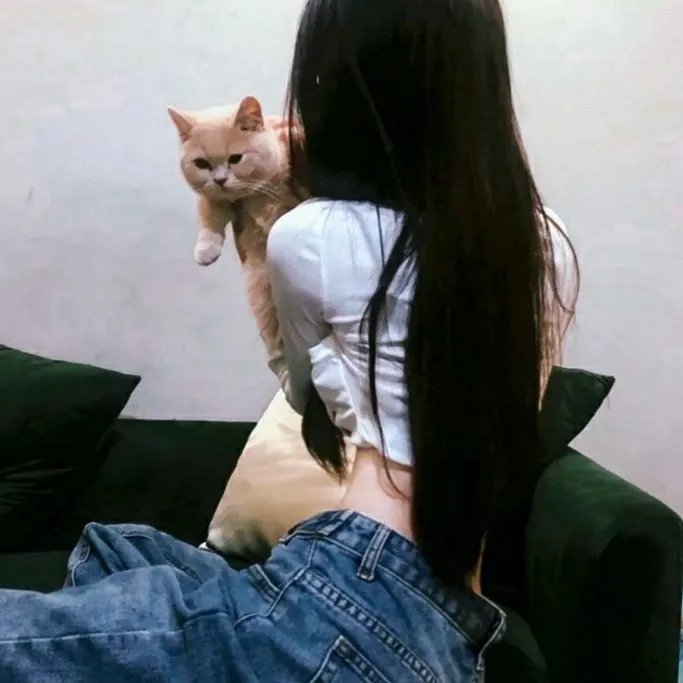 洗衣房的奇妙世界